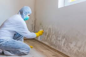 Mold Remediation for Vacation Homes in Edgemere, MD